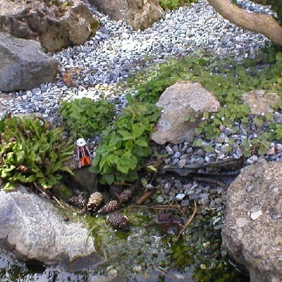 P1011168.JPG (192.63 KiB) 524 mal betrachtet P1011168.JPG