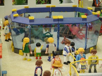 Seaworld Oktopssy.jpg