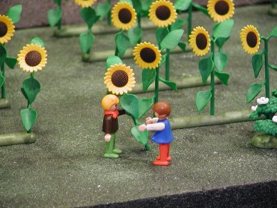 Mittelalter Feld Sonnenblumenfeld2.jpg