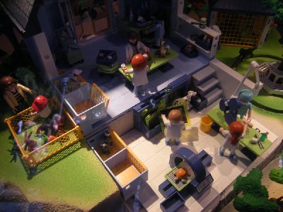 playmo 053.jpg
