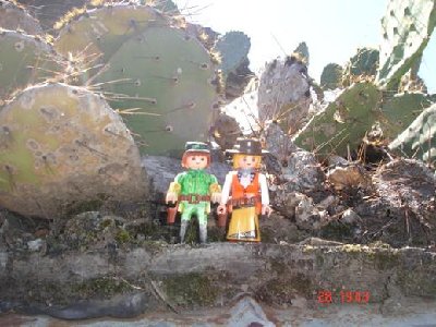 Kakteen.JPG (48.1 KiB) 3058 mal betrachtet Kakteen.JPG