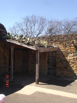 Dach mit Kakteen.JPG (44.79 KiB) 2903 mal betrachtet Dach mit Kakteen.JPG