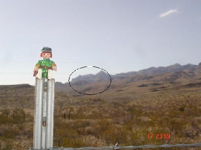 Mr Lincoln.JPG (26.01 KiB) 2906 mal betrachtet Mr Lincoln.JPG