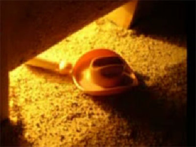 pacojones2.jpg (37.9 KiB) 506 mal betrachtet pacojones2.jpg