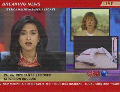 ricebag.jpg