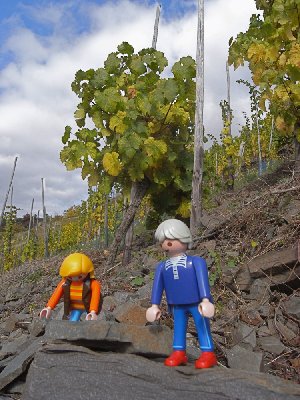 Moselstein.jpg (255.64 KiB) 2905 mal betrachtet Moselstein.jpg