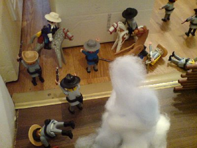 Rotti fällt vom Gaul.JPG (93.59 KiB) 1162 mal betrachtet Rotti fällt vom Gaul.JPG