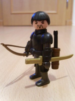Ronin mit Bogen.JPG (91.79 KiB) 1183 mal betrachtet Ronin mit Bogen