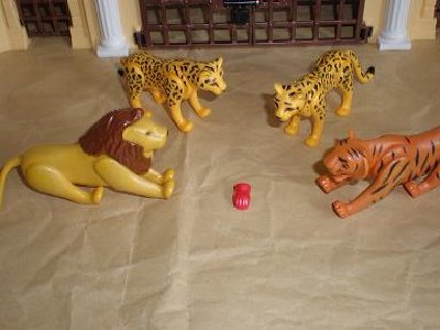 Handschuh in arena.JPG (28.87 KiB) 1457 mal betrachtet Zwischen den Tiger und den Leun<br />Mitten hinein.