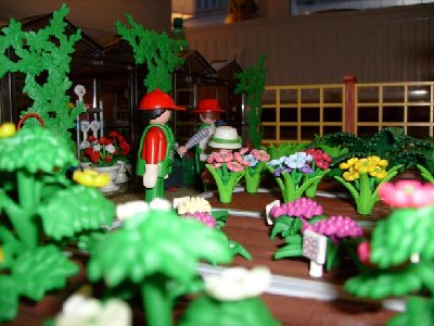 Blumenduft_2.JPG