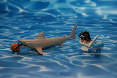Bild 2.jpg (95.33 KiB) 1340 mal betrachtet Und halt dir lieber die Kiemen zu, die haben bestimmt schon ins Wasser.......