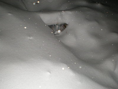 PB230766.JPG (83.15 KiB) 1164 mal betrachtet PB230766.JPG