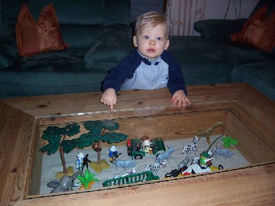 n1.jpg