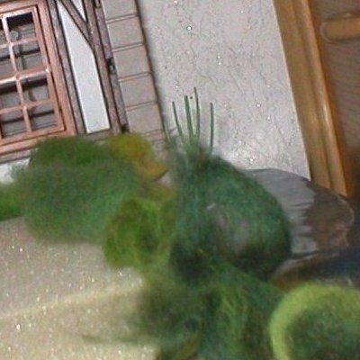 006.JPG (49.96 KiB) 450 mal betrachtet 006.JPG