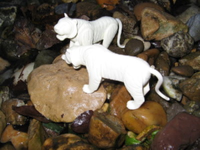 03_Schneetiger.jpg (72.79 KiB) 1741 mal betrachtet 03_Schneetiger.jpg