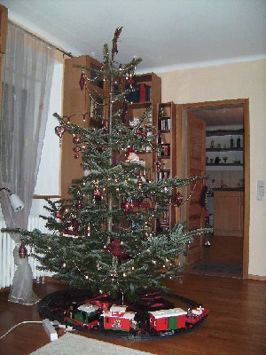 baumBILD0966.JPG (158.77 KiB) 637 mal betrachtet baumBILD0966.JPG