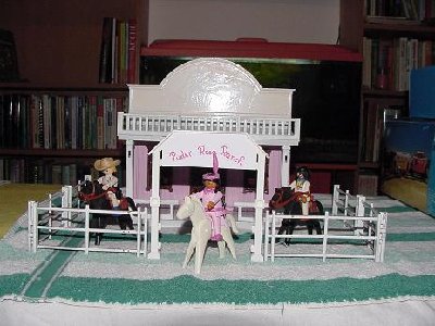pd1.JPG (37.11 KiB) 1467 mal betrachtet Das erste mal, das sie playmobil anmalt!