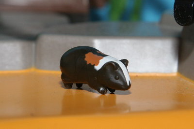 5.jpg (72.5 KiB) 1110 mal betrachtet Quieek. Aber ich will zu Knusper zurück! Quieek!