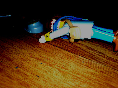 DSC00050.JPG (374.74 KiB) 973 mal betrachtet "Dixie! Komm! Wo bist Du?"