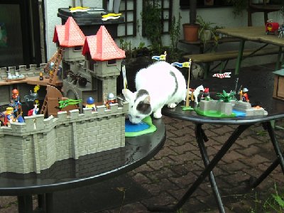AD1.JPG (281.97 KiB) 418 mal betrachtet Auch die Katz