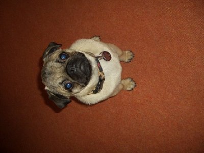 IMG_7.jpg (66.43 KiB) 739 mal betrachtet IMG_7.jpg