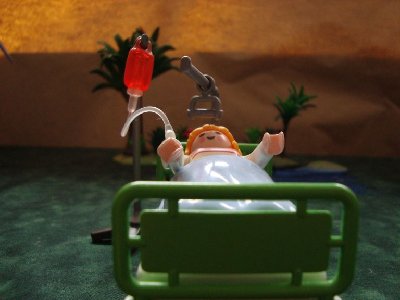 Jurassic Park 010.jpg