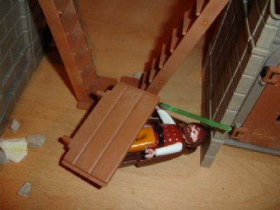 DSC03951.JPG (24.9 KiB) 995 mal betrachtet Ein Stück Holz fällt auf Obi-Wan.
