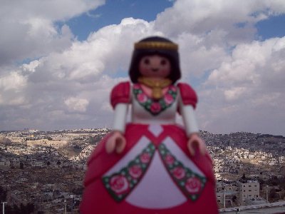 101_1017.JPG