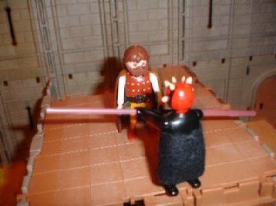 DSC04004.JPG (18.82 KiB) 991 mal betrachtet Obi-Wan drängt Darth Maul auf die Kannte der Mauer.