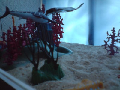 Playmo Unterwasserwelt 010.JPG (285.18 KiB) 707 mal betrachtet Playmo Unterwasserwelt 010.JPG