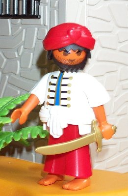 Indischer Pirat.JPG