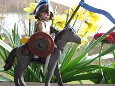 Reiter Pferd.jpg