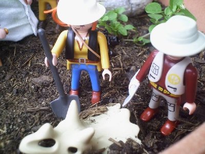 3.jpg (57.28 KiB) 467 mal betrachtet 3.jpg