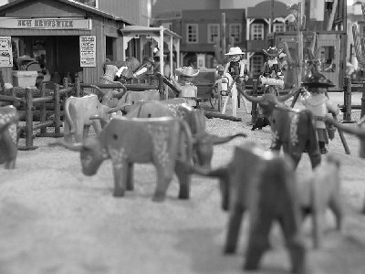 old brunswick 100.jpg