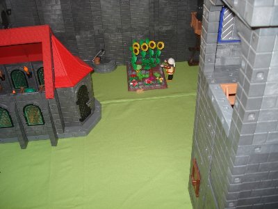 DSC08756_klein.jpg