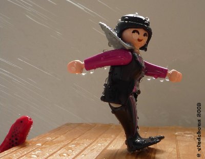 Vindobona_0150.jpg (64.76 KiB) 942 mal betrachtet Vindobona_0150.jpg