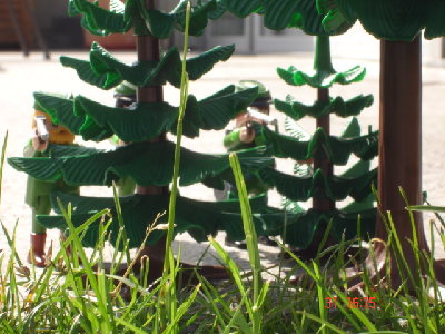Letzte Mai- Woche 2009 015.JPG