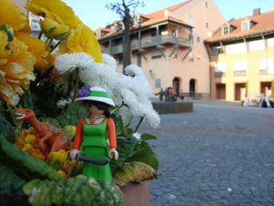 Vogelpark Orthenburg 123.jpg (86.03 KiB) 1029 mal betrachtet Agatha auf dem Weg zum sagenumwobenen Franziskusbrunnen, einer Kultstätte für Kinder.