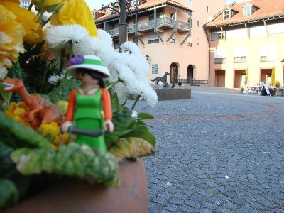 Vogelpark Orthenburg 124.jpg (99.62 KiB) 1029 mal betrachtet Auf dem Weg zum Franziskusbrunnen.
