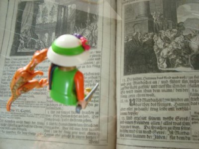 Vogelpark Orthenburg 064.jpg (75.12 KiB) 796 mal betrachtet Vogelpark Orthenburg 064.jpg