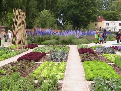 IMG_1451 Kopie.jpg (120.89 KiB) 473 mal betrachtet IMG_1451 Kopie.jpg