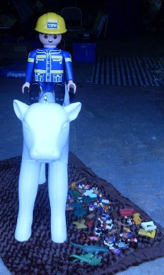 SDC11759.JPG