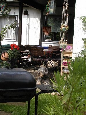 Playmoday-Selbstbedienungszone.jpg (132.75 KiB) 1421 mal betrachtet Hier entsteht die Selbstbedienungszone