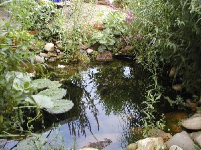 Playmoday-Monstersee.jpg (186.59 KiB) 1417 mal betrachtet Hier werden unsere "Monster" schwimmen