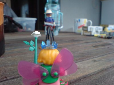 DSC00938.JPG (61.93 KiB) 692 mal betrachtet DSC00938.JPG