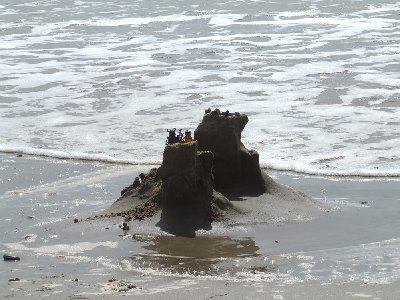 DSCF8844.JPG