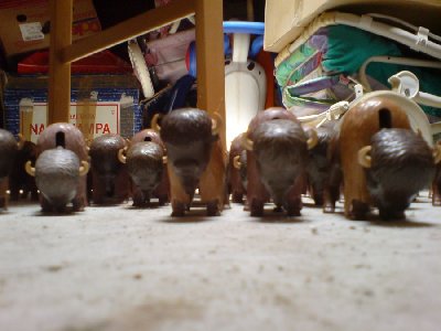 DSC00984.JPG (76.47 KiB) 685 mal betrachtet DSC00984.JPG