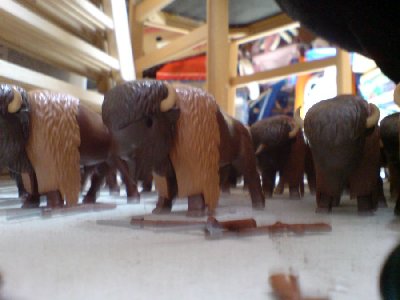 DSC00992.JPG (69.29 KiB) 494 mal betrachtet DSC00992.JPG