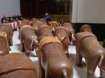 DSC00994.JPG (71.85 KiB) 489 mal betrachtet DSC00994.JPG