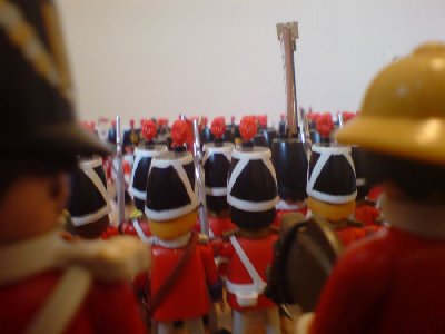 DSC01231.JPG (55.94 KiB) 673 mal betrachtet DSC01231.JPG